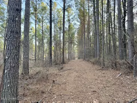 0001 Putnam Rd, Pickens, MS 39146 photo 45