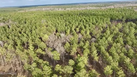 0001 Putnam Rd, Pickens, MS 39146 photo 36