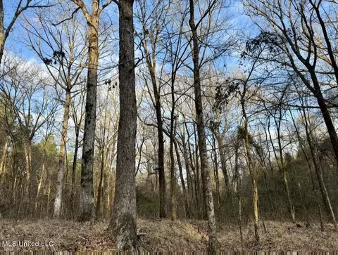 0001 Putnam Rd, Pickens, MS 39146 photo 18