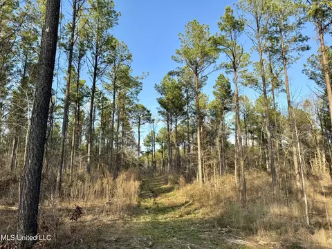 0001 Putnam Rd, Pickens, MS 39146 photo 3