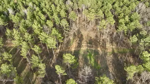 0001 Putnam Rd, Pickens, MS 39146 photo 13