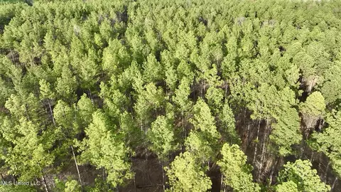 0001 Putnam Rd, Pickens, MS 39146 photo 7