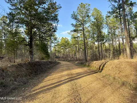 0001 Putnam Rd, Pickens, MS 39146 photo 39