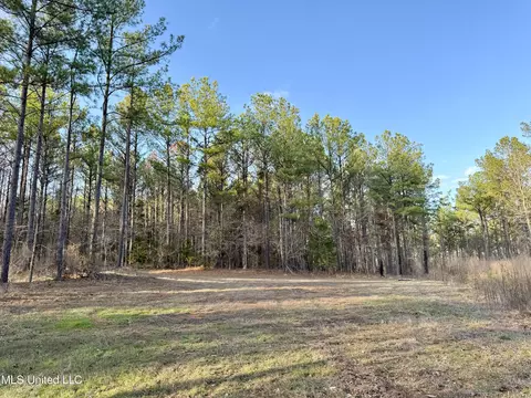 0001 Putnam Rd, Pickens, MS 39146 photo 17