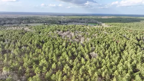 0001 Putnam Rd, Pickens, MS 39146 photo 26
