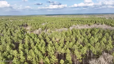 0001 Putnam Rd, Pickens, MS 39146 photo 34