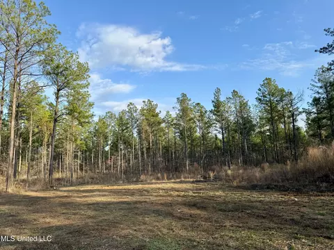 0001 Putnam Rd, Pickens, MS 39146 photo 43