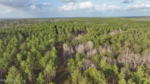 0001 Putnam Rd, Pickens, MS 39146 photo 38