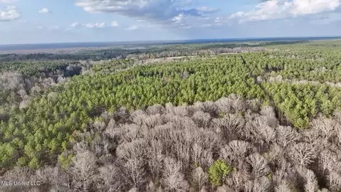 0001 Putnam Rd, Pickens, MS 39146 photo 10