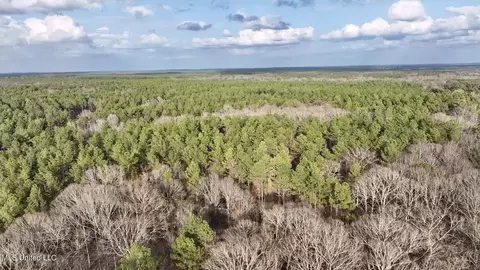 0001 Putnam Rd, Pickens, MS 39146 photo 19