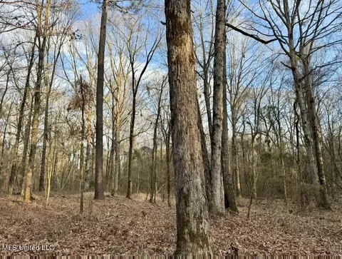 0001 Putnam Rd, Pickens, MS 39146 photo 35