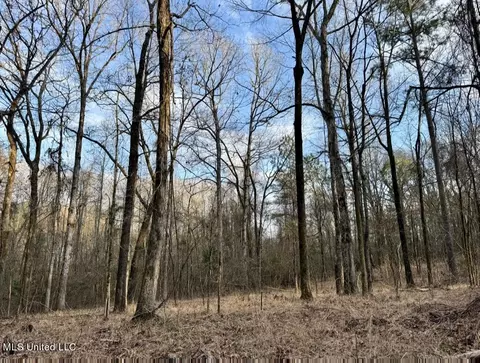 0001 Putnam Rd, Pickens, MS 39146 photo 12