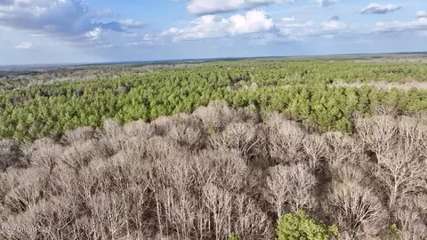 0001 Putnam Rd, Pickens, MS 39146 photo 25