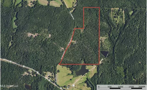 0001 Putnam Rd, Pickens, MS 39146 photo 5