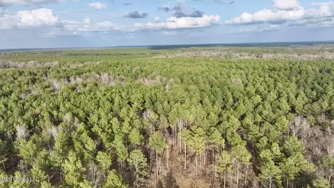 0001 Putnam Rd, Pickens, MS 39146 photo 37