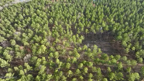 0001 Putnam Rd, Pickens, MS 39146 photo 30
