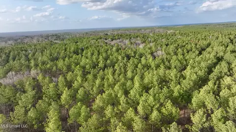 0001 Putnam Rd, Pickens, MS 39146 photo 21