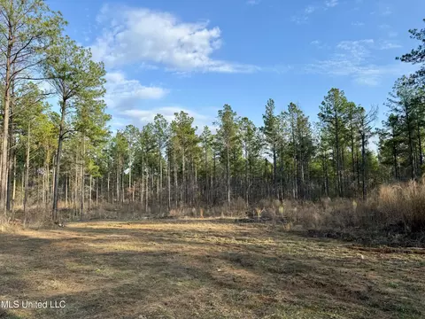 0001 Putnam Rd, Pickens, MS 39146 photo 31