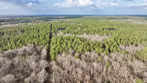 0001 Putnam Rd, Pickens, MS 39146 photo 16