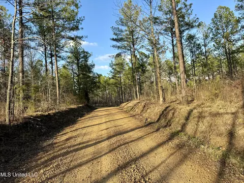 0001 Putnam Rd, Pickens, MS 39146 photo 14