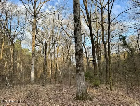 0001 Putnam Rd, Pickens, MS 39146 photo 42