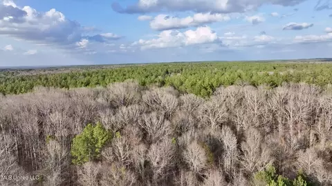0001 Putnam Rd, Pickens, MS 39146 photo 29