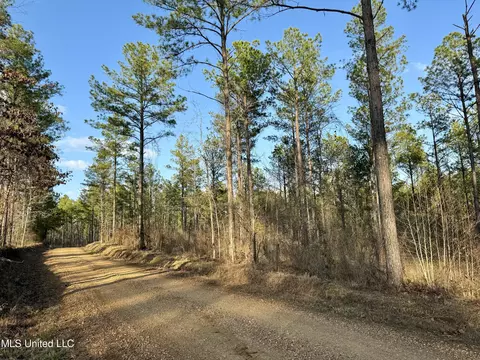 0001 Putnam Rd, Pickens, MS 39146 photo 8