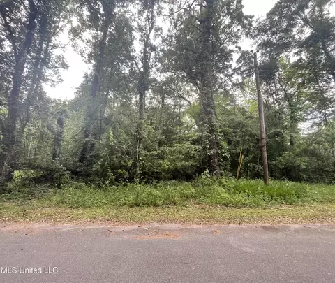 Nhn Holly Drive, Lucedale, MS 39452