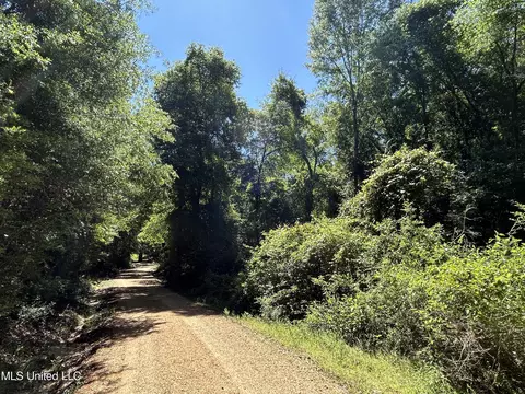 00 Frazier Hill Ln, Sandy Hook, MS 39478 photo 2