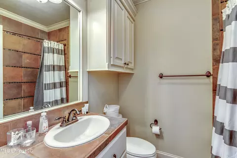 606 Bauxite Cv, Brandon, MS 39047 photo 36