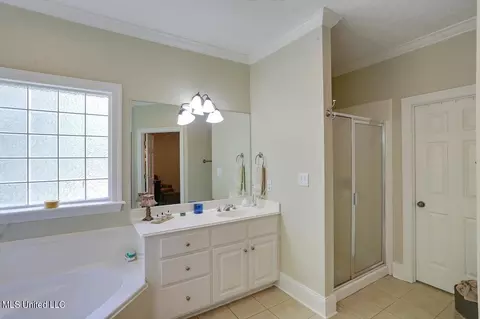 219 E Towne, Brandon, MS 39042 photo 21