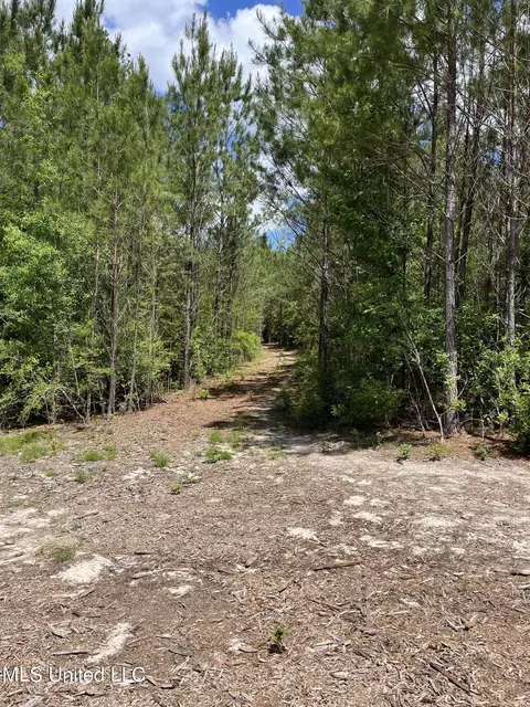 Rawls Road Road, Perkinston, MS 39573 photo 5