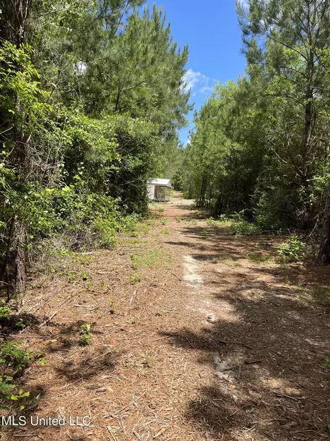 Rawls Road Road, Perkinston, MS 39573 photo 2