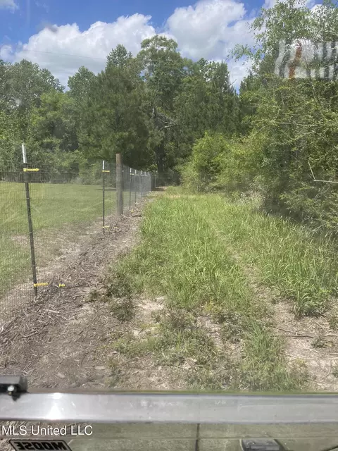 Rawls Road Road, Perkinston, MS 39573 photo 3