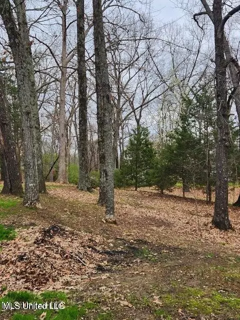 1130 Thunderbird Dr N, Hernando, MS 38632 photo 27