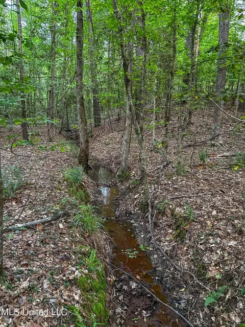 00 Smith Co Rd 559, Pulaski, MS 39152 photo 11