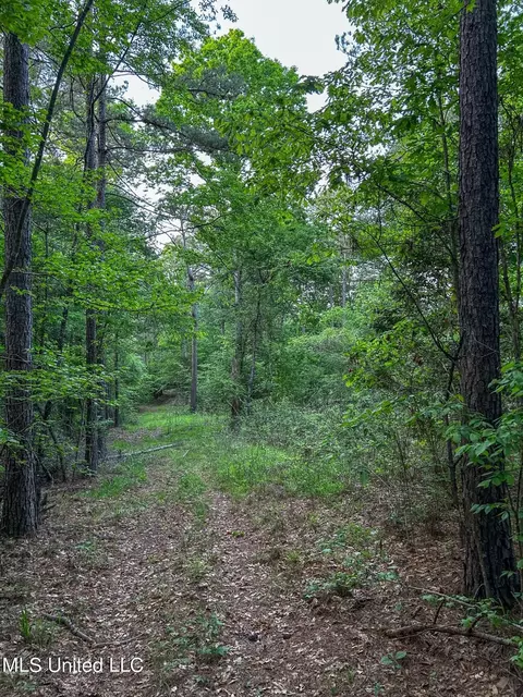00 Smith Co Rd 559, Pulaski, MS 39152 photo 8