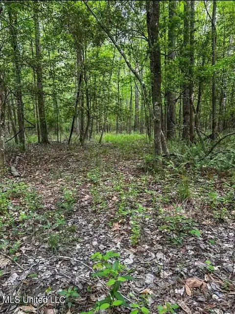 00 Smith Co Rd 559, Pulaski, MS 39152 photo 18