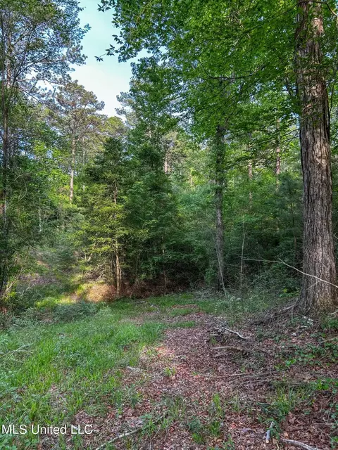 00 Smith Co Rd 559, Pulaski, MS 39152 photo 7