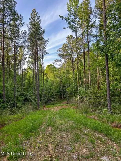 00 Smith Co Rd 559, Pulaski, MS 39152 photo 4