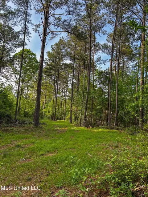 00 Smith Co Rd 559, Pulaski, MS 39152 photo 5