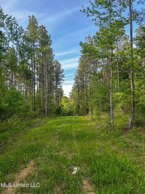 00 Smith Co Rd 559, Pulaski, MS 39152 photo 2