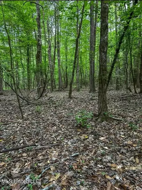 00 Smith Co Rd 559, Pulaski, MS 39152 photo 17