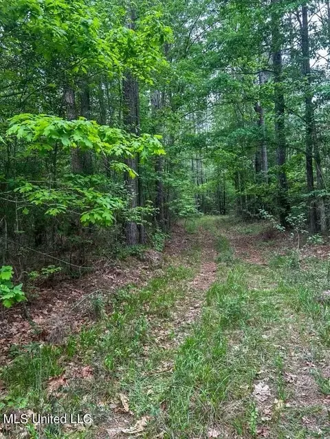 00 Smith Co Rd 559, Pulaski, MS 39152 photo 21