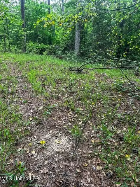 00 Smith Co Rd 559, Pulaski, MS 39152 photo 20