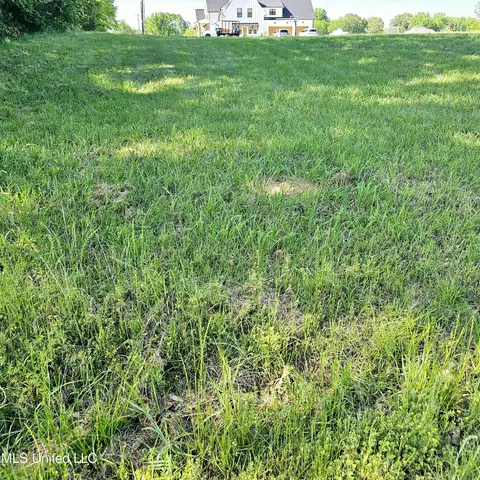3112 S Fogg Rd, Hernando, MS 38632 photo 7
