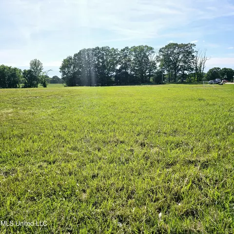 3112 S Fogg Rd, Hernando, MS 38632 photo 4