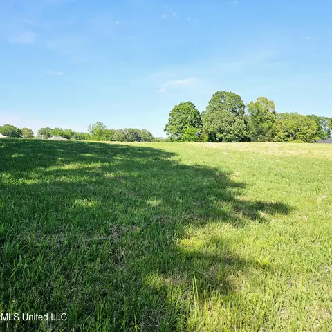 3112 S Fogg Rd, Hernando, MS 38632 photo 6