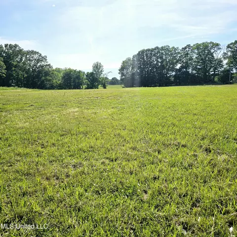 3112 S Fogg Rd, Hernando, MS 38632 photo 5
