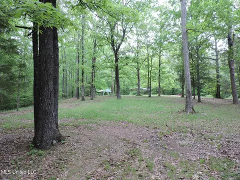 Exterior - 1614 Hwy 5, Hickory Flat, MS 38633 photo 11 of 17